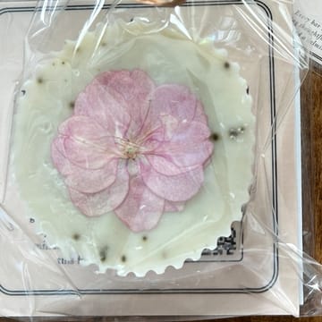 Close view of a pale soap bar with a whole pressed pink blossom set into its surface and a scalloped edge.